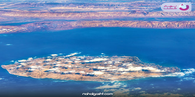 نهال گشت