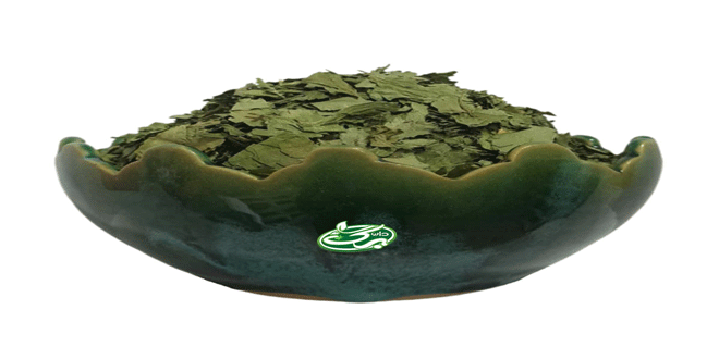گیاهان دارویی