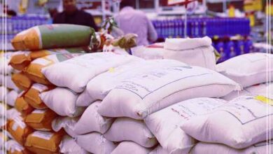 The damage of mixing rice to the agricultural brand of Mazandaran province 390x220 - لطمه تخلیط برنج به برند کشاورزی استان مازندران