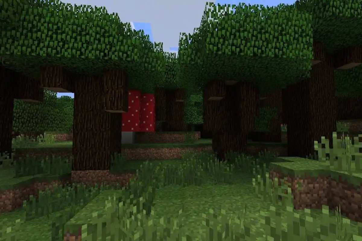 بیوم جنگل تاریک (Dark Forest) بیوم جنگل تاریک (Dark Forest)