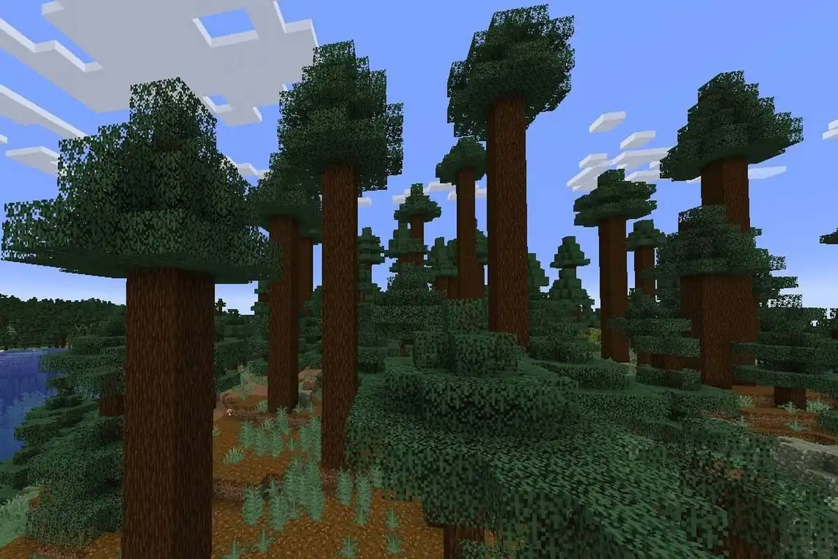 . بیوم درختان غولپیکر تایگا (The Giant Tree Taiga) . بیوم درختان غولپیکر تایگا (The Giant Tree Taiga)