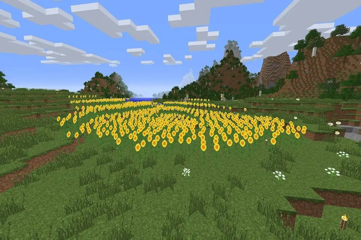 بیوم دشت آفتابگردان (ٰThe Sunflower Plains) بیوم دشت آفتابگردان (ٰThe Sunflower Plains)