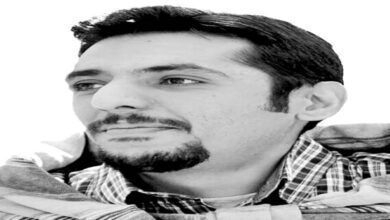 نوید رئیسی
