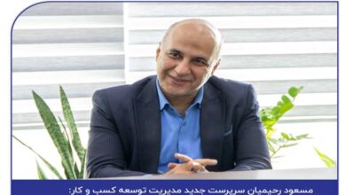سعود رحیمیان سرپرست جدید مدیریت توسعه کسب و کار بیمه سرمد