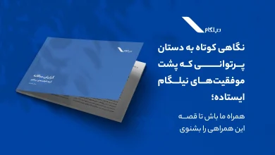 گزارش سالانه نیلگام