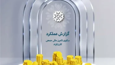 گزارش عملکرد کارن کراد