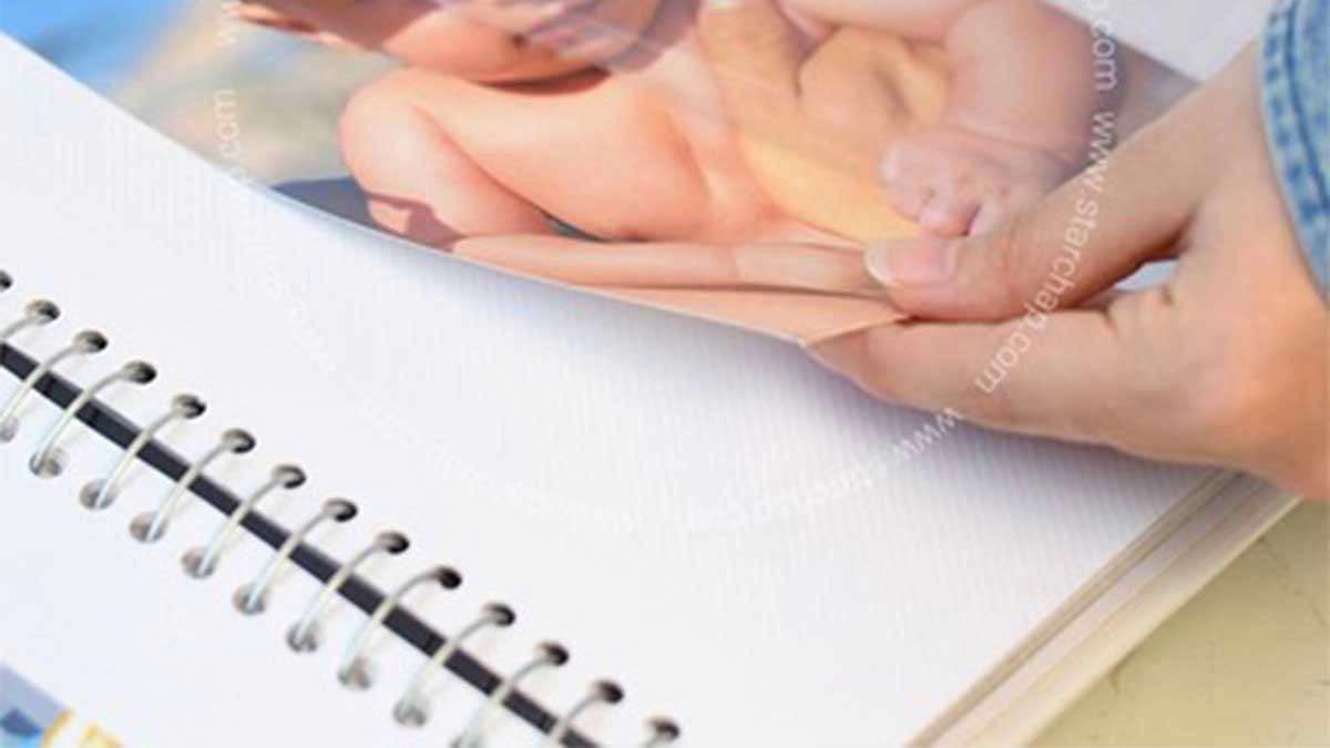 آلبوم چسبی با ظرفیت عکس بالا