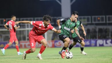 عکس| پوستر جالب پرسپولیس برای بازی با ذوب‌آهن با تم حیات وحش