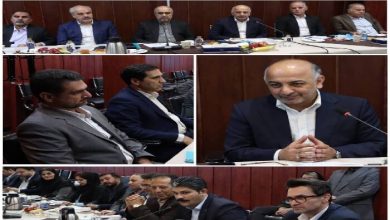 بیمه دی