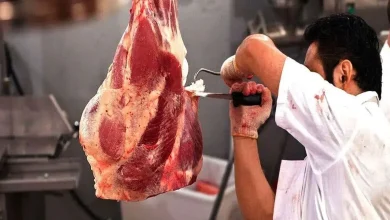 گوشت
