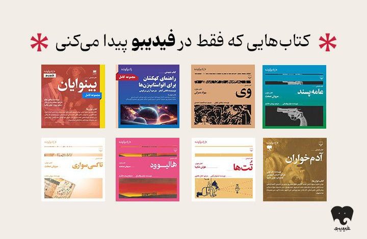 فیدیبو