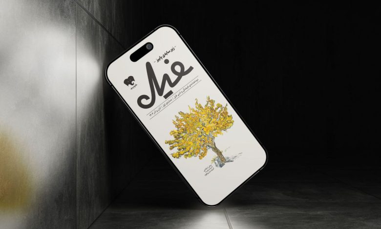 فیدیبو