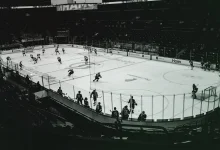 آکواریوم پسرانه- boy aquariums