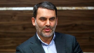 محسن زنگنه، نماینده مجلس