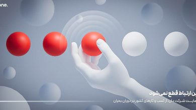 حمایت دان