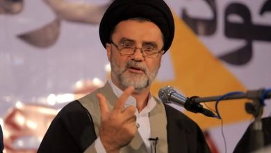 سیدمحمود نبویان، نماینده مجلس