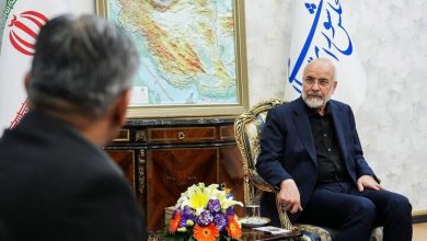 قالیباف در دیدار وزیر کشور پاکستان