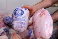 مرغ ارزان وارد بازار شد