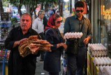لبنیات، روغن و تخم‌مرغ ارزان‌ در راه بازار