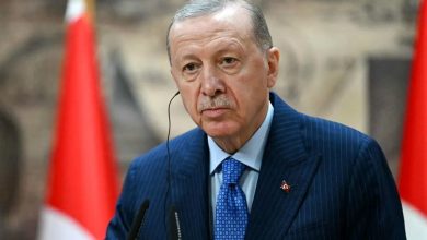 رجب طیب اردوغان، رئیسجمهور ترکیه