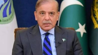 شهباز شریف، نخست وزیر پاکستان