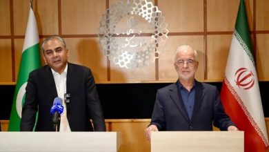 اسکندر مومنی و سید محسن نقوی، وزای کشور ایران و پاکستان