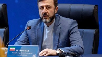 غریبآبادی: تعهداتمان در تفاهمنامه اسلامآباد را متوقف کردهایم