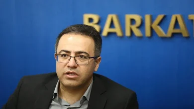 دکتر محمدنبی شهیکی، معاون فناوری و نوآوری وزارت علوم، تحقیقات و فناوری