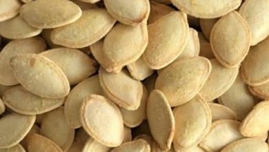 یک مشت تخمه کدو چقدر کالری دارد؟