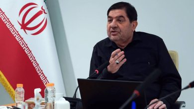 محمد مخبر