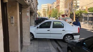 پارک خودرو جلوی در - پارک ممنوع - پارک خودرو جلوی پل