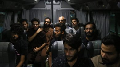 صیاد
