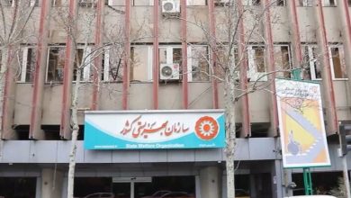بهزیستی