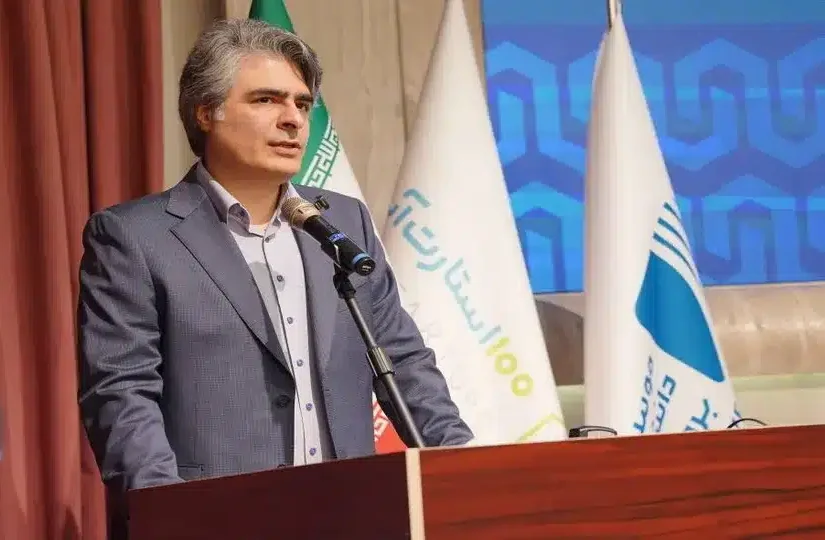سیاوش ملکی‌فر، مدیرعامل شناسا