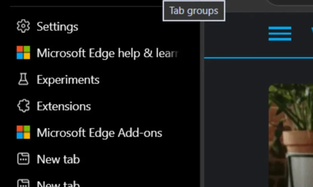 مایکروسافت مایکروسافت