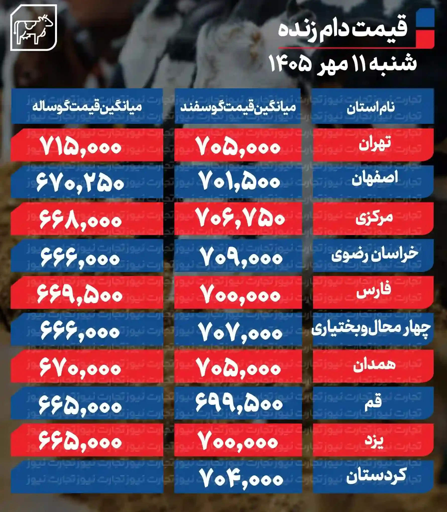 قیمت جدید دام زنده امروز ۱۱ مهر؛ نرخ گوسفند و گوساله اعلام شد + جدول قیمت جدید دام زنده امروز ۱۱ مهر؛ نرخ گوسفند و گوساله اعلام شد + جدول