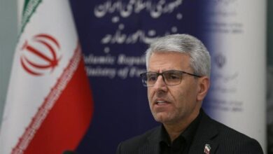 اسماعیل بقایی، سخنگوی وزارت امور خارجه