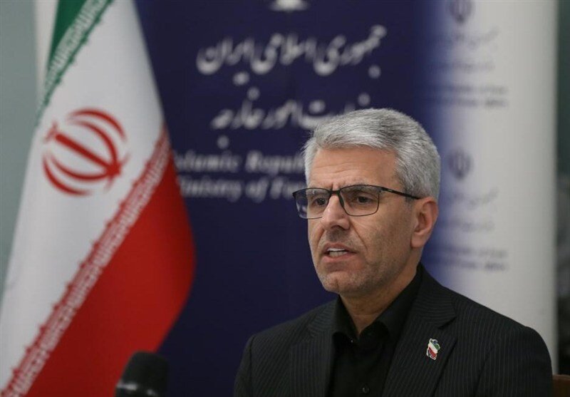 اسماعیل بقایی، سخنگوی وزارت امور خارجه