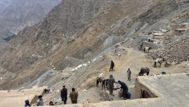 زمرد پنجشیر افغانستان چشم مشتریان جهانی را خیره کرده است