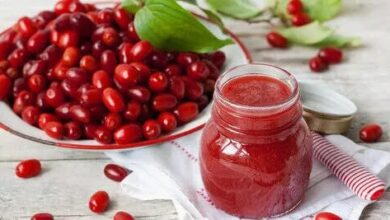آب زغالاخته قرمز میتواند به سلامت دندانها کمک کند