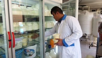 لبنیات سنتی