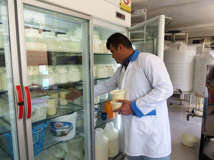 لبنیات سنتی