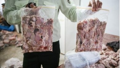 گوشت فاسد