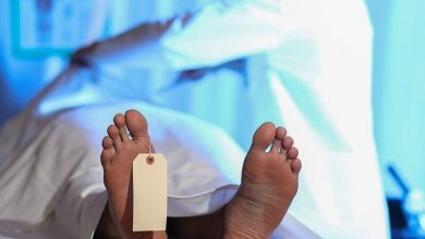 جسد - پزشکی قانونی - سردخانه