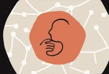 آنتروپیک